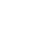 TikTok Icon